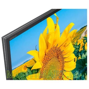 Телевизор Sony KD-43XF8096 картинка 5
